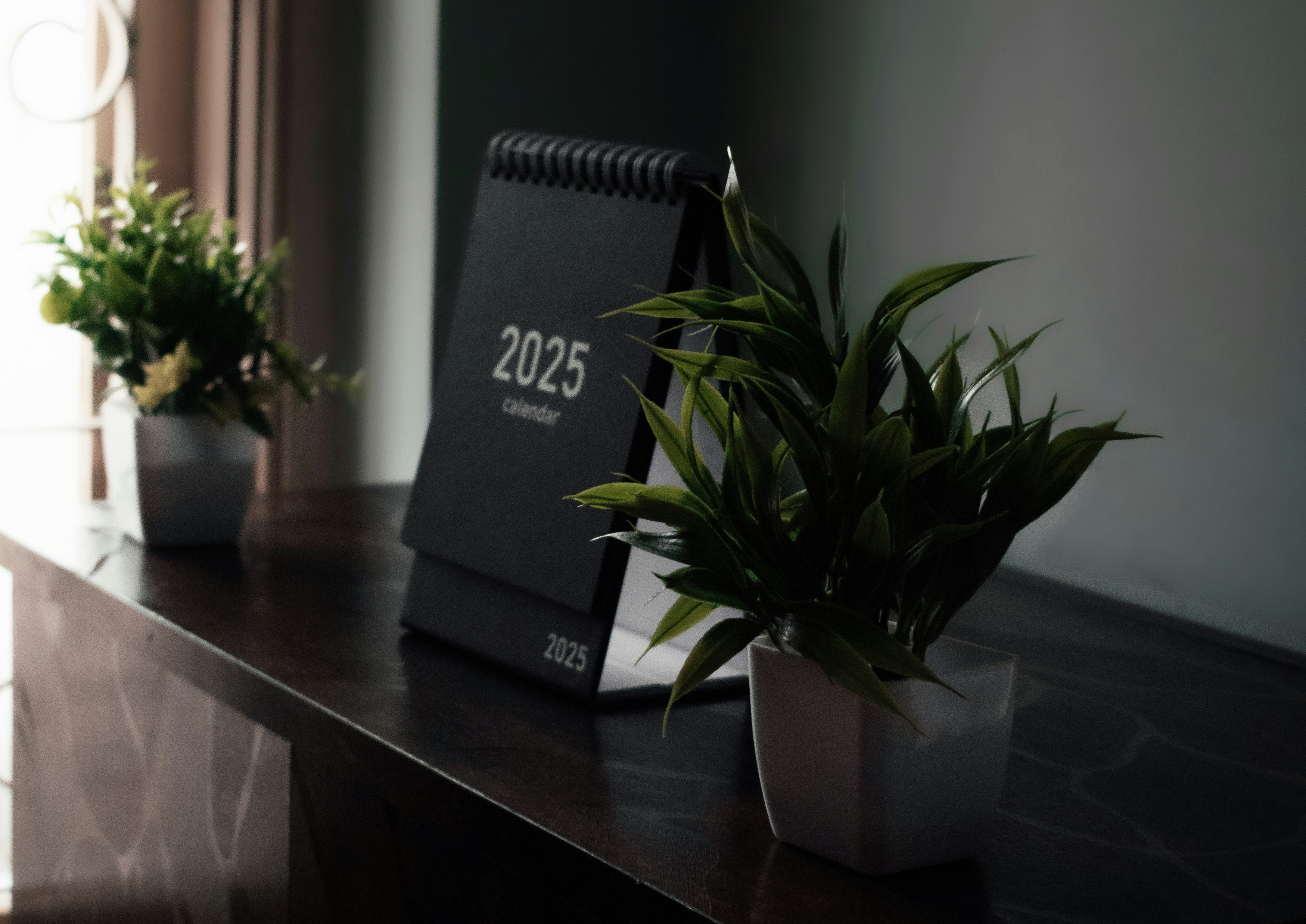 Calendar 2025 on a table with plants