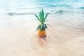 Evi Radauscher - Unsplash - Ananas im Meer